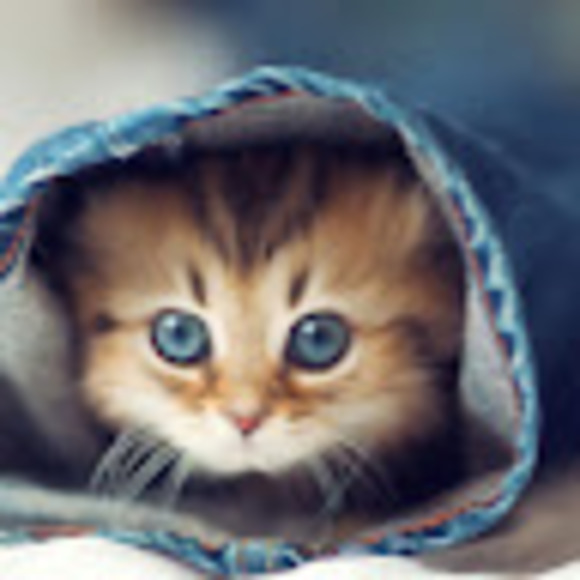 Meet your Posher, Maryan - Picture 1 of 1